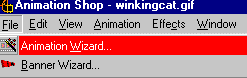 Animation Wizard